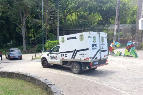 Homem invade jaula de leoa na Bica, é atacado e morre; parque de João Pessoa suspende visitas