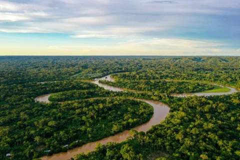 Belém aposta na bioeconomia para crescer com conservação da Amazônia